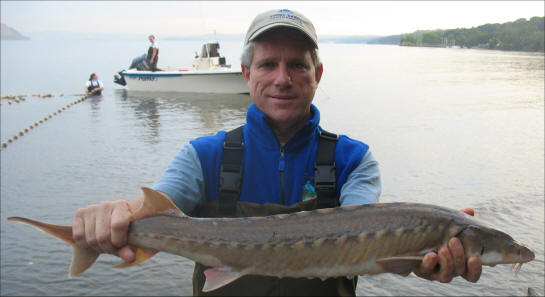 David Conover, PhD Conover is Dean of the School of Marine and Atmospheric Sciences, Stony Brook University.