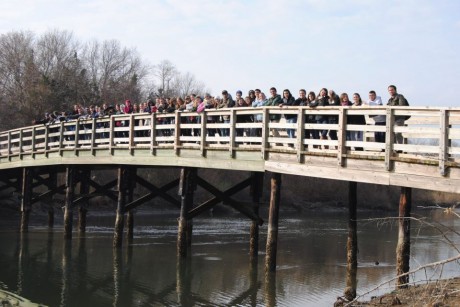 bridgephoto