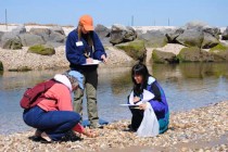 Educators conduct hands-on activities that they can use with their students during field trips to the beach. They are at a 2012 “Teach at the Beach” Mentor Teachers Workshop  in Wading River (Photo by Larissa Graham)