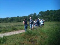 Barn Island Walk at a 2012 Trails Day event