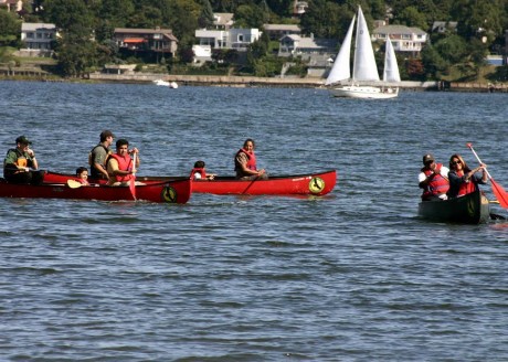 alley pond estuary day