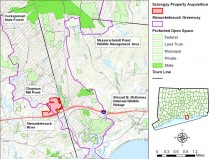SciongayPressRelease_200lowres