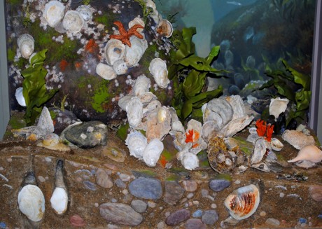 6_Diorama