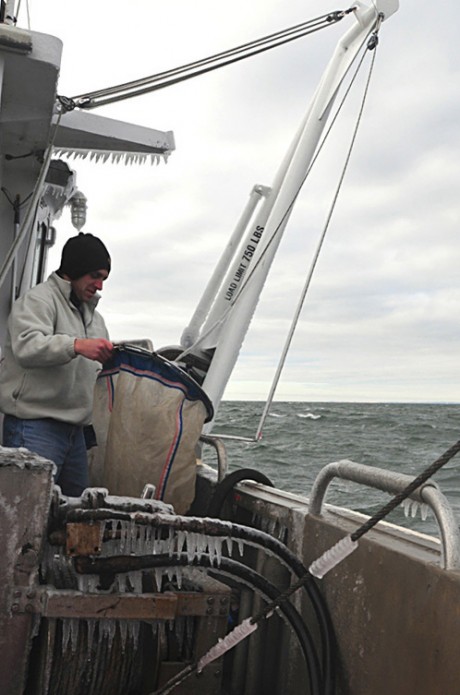 sampling on dempsey