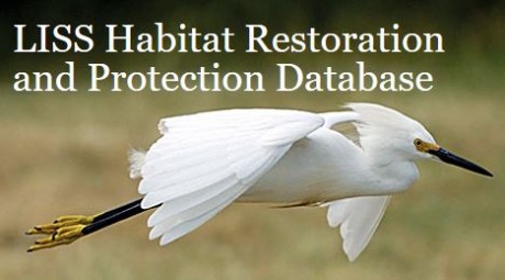 habitat restoraton database photo