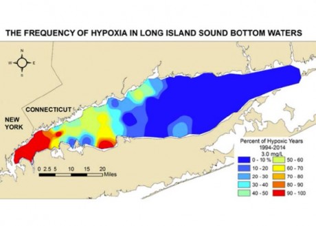 hypoxia map