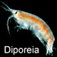 Benthic