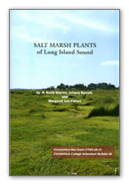 Salt Marsh Plants