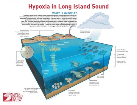 What is hypoxia?