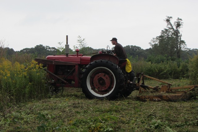 Local Farmer partners with NYS Office of Parks, Recreation and Historic Preservation to restore grassland functionality, this is the first round of mowing.  