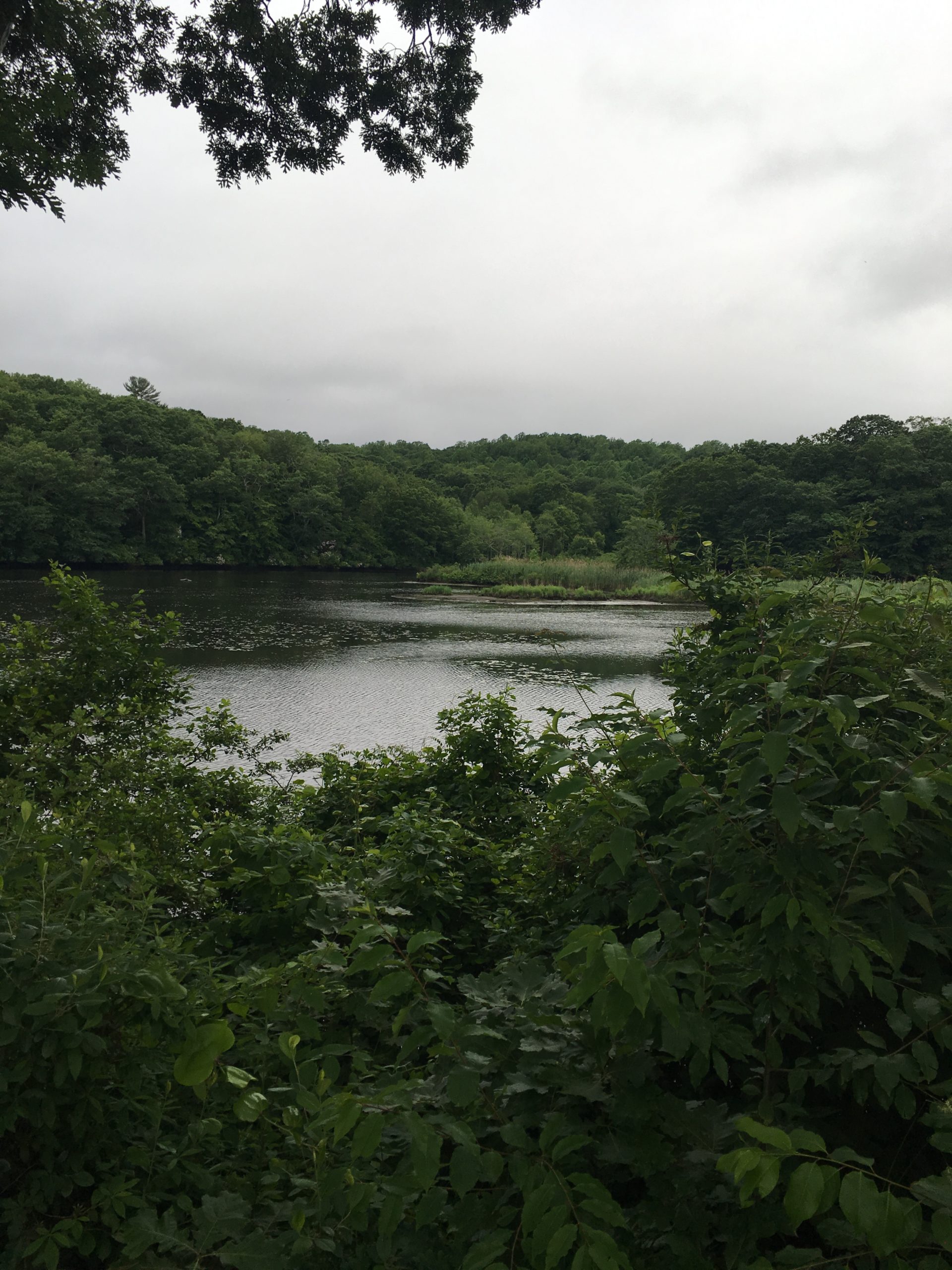 Connecticut River Estuary at Lord Cove.