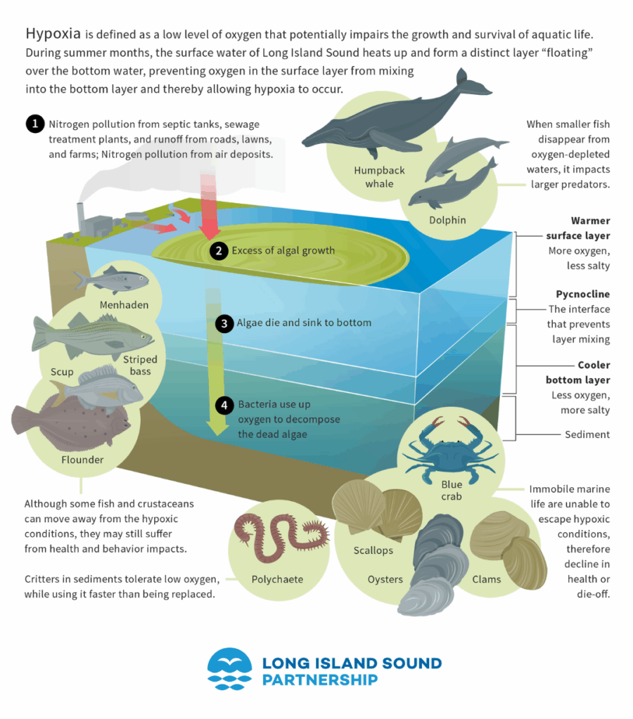 What is hypoxia?