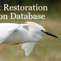 The database includes details on every restoration project completed in the Sound since 1998,