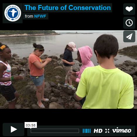 nfwf-grants-page