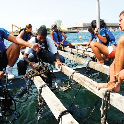 p07_Raft-500x500.jpg