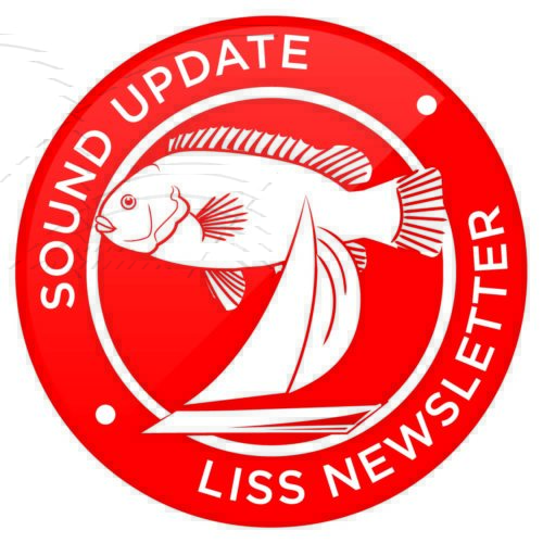 Sound Update lisp newsletter logo