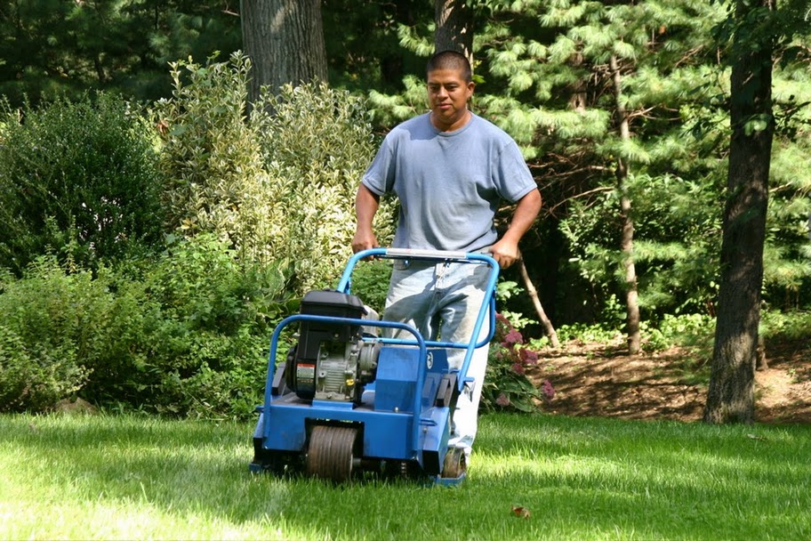 Around Your Backyard