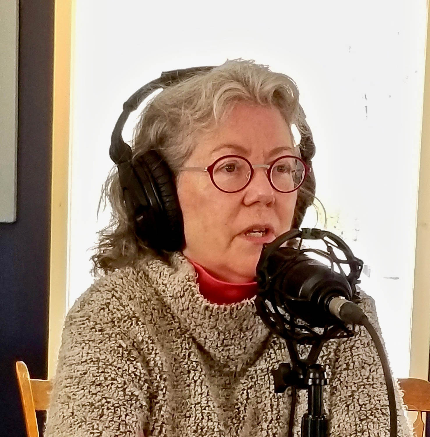 Judy Preston, the long island sound partnership Outreach Coordinator, is talking into a microphone at the iCRV internet radio station.