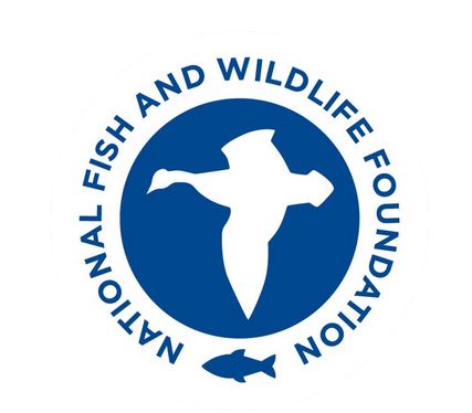 logo of the National Fish and Wildlife Foundation