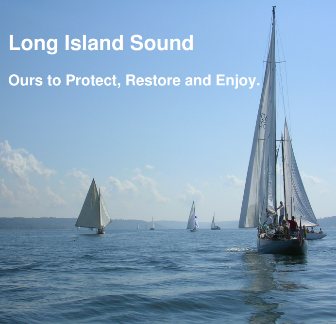 Sailboats on an open ocean front with a blue sky above. 