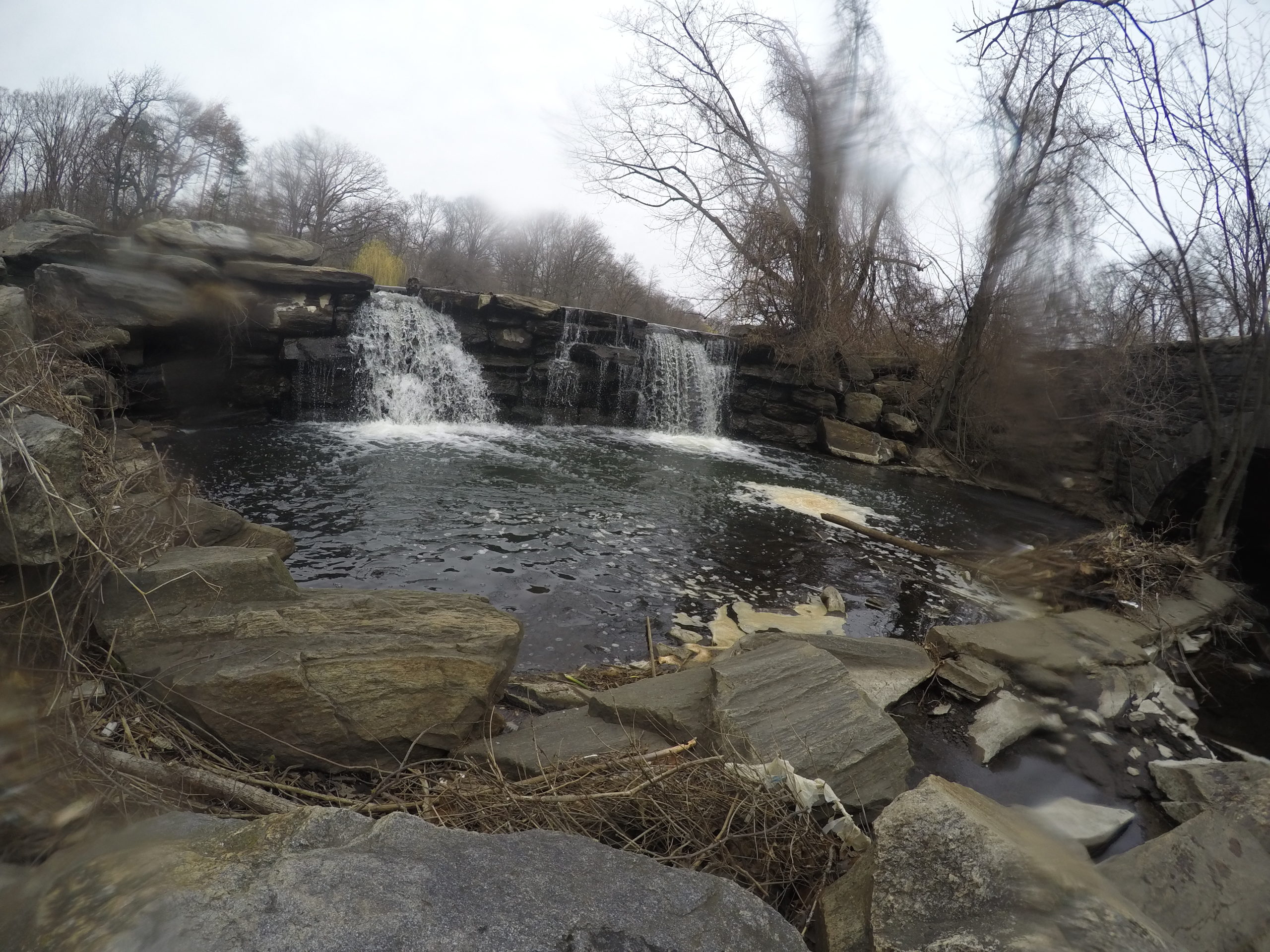 The foot of the Pelham Lake Dam, part of Willson Woods Park in Mount Vernon, where the first alewife was spotted on the Hutchinson River since the 19th century. 