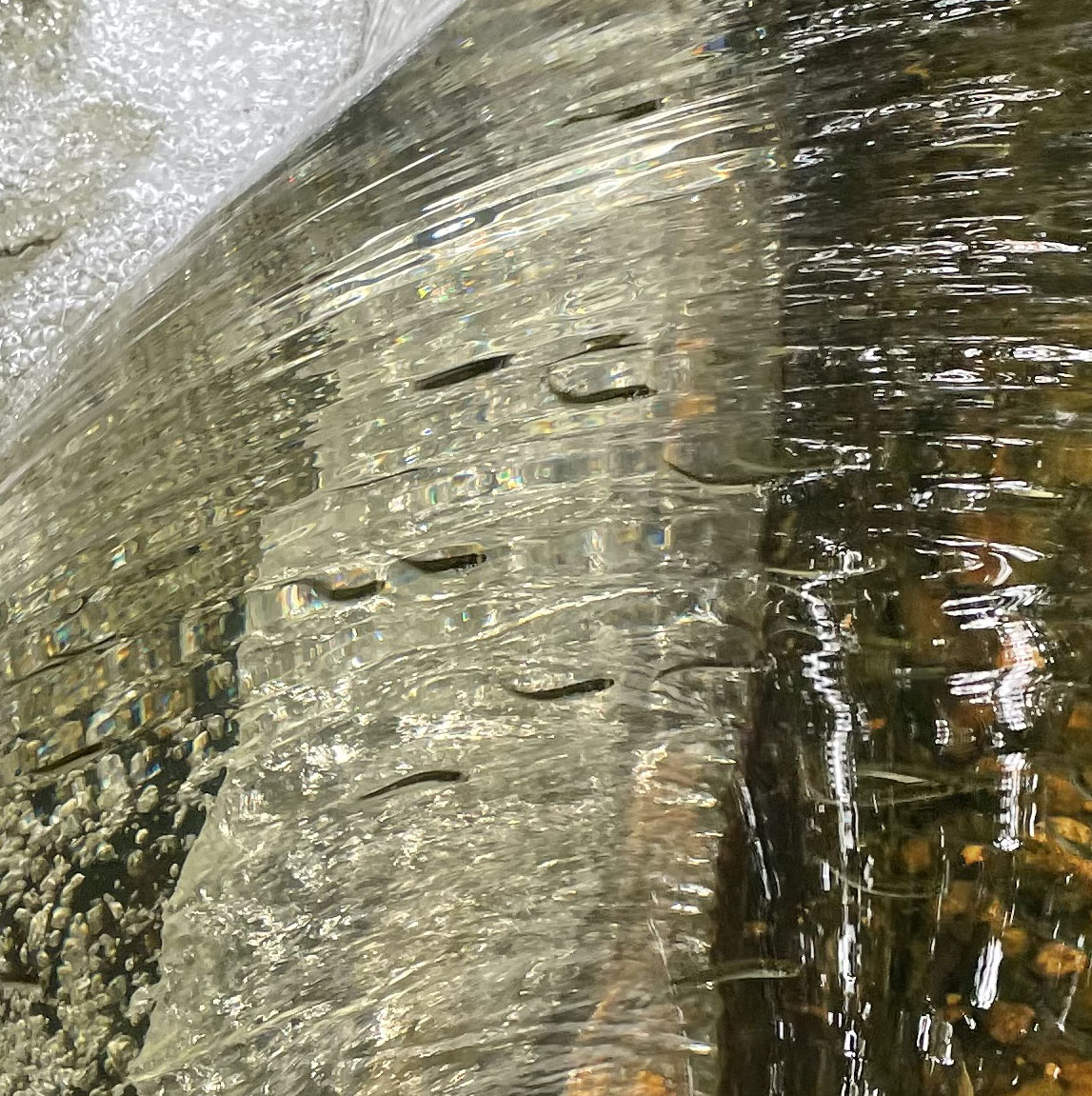 A weir (a low dam) at Bride Brook. 