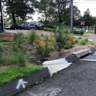 At the Beardsley Park Zoo in Bridgeport, CT stormwater travels through the curb cut into the vegetation of this rain garden for treatment instead of directly entering the storm drain.