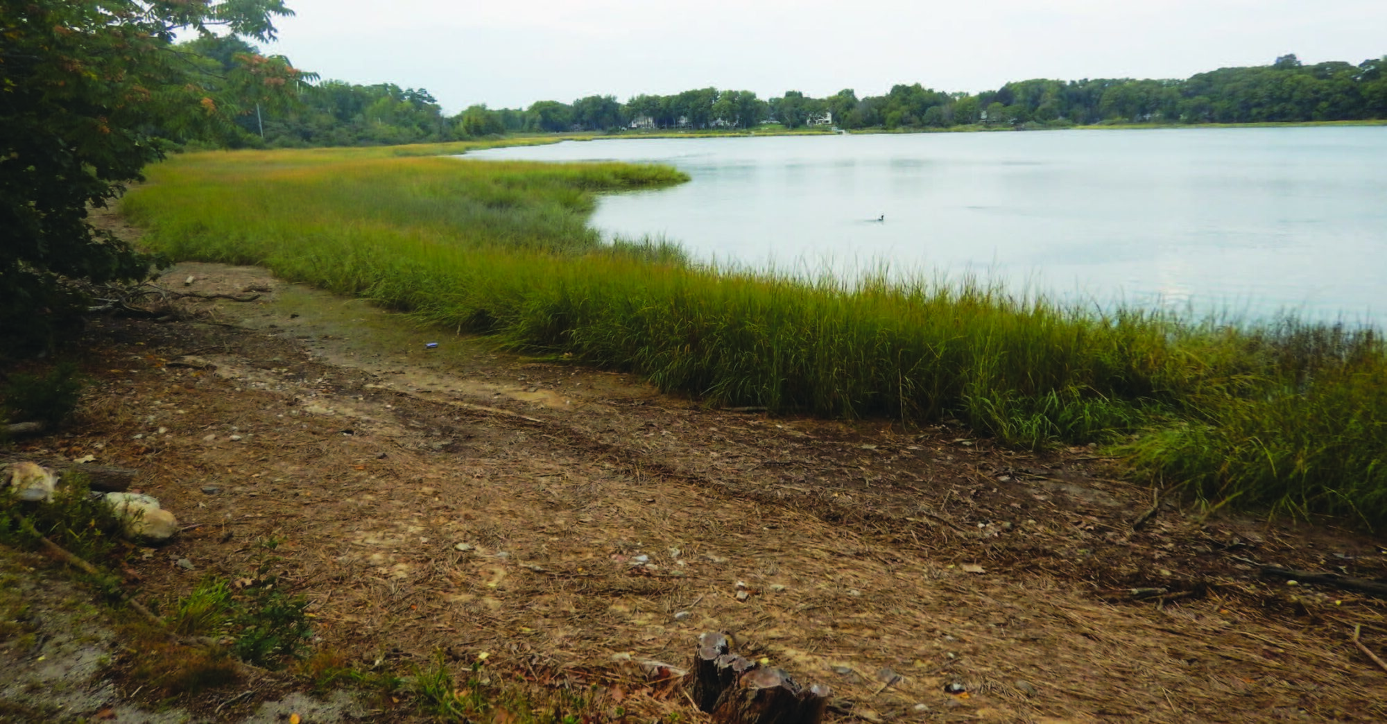 One of the properties to be acquired will help protect Little Bay. Photo by Vicky O'Neill/NYSDE