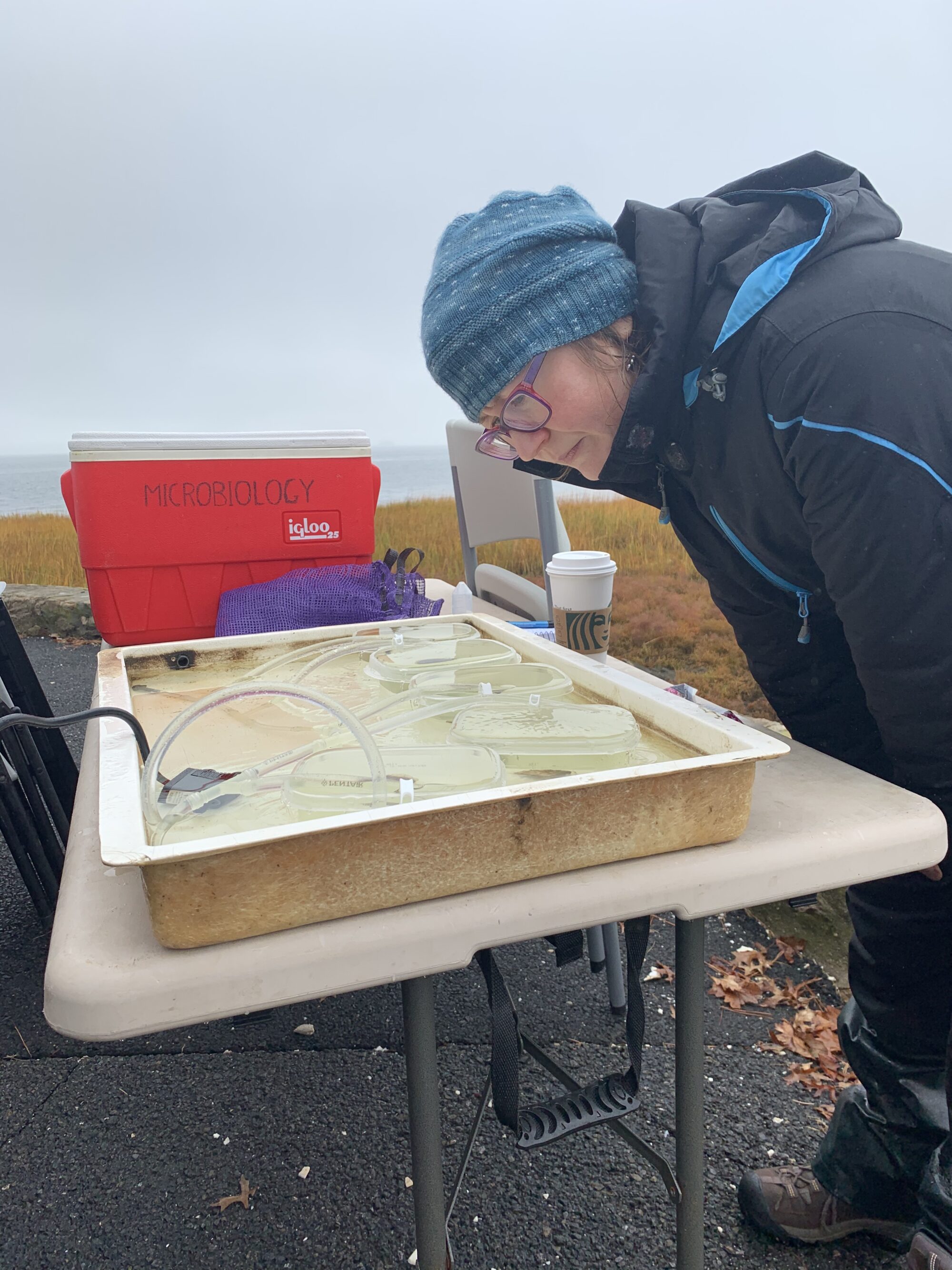 Julie Rose bends down to look at a table of research samples.