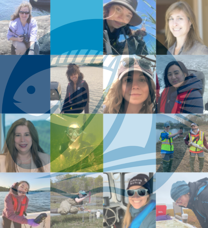 A grid mosaic of photos of the women in science featured, overlayed with the long island sound partnership logo. 