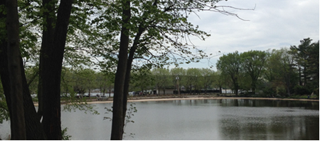 A pond surrounded by trees.
