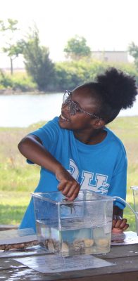 A young Black girl in a blue t-shirt places a crab into a bucket of water. 
