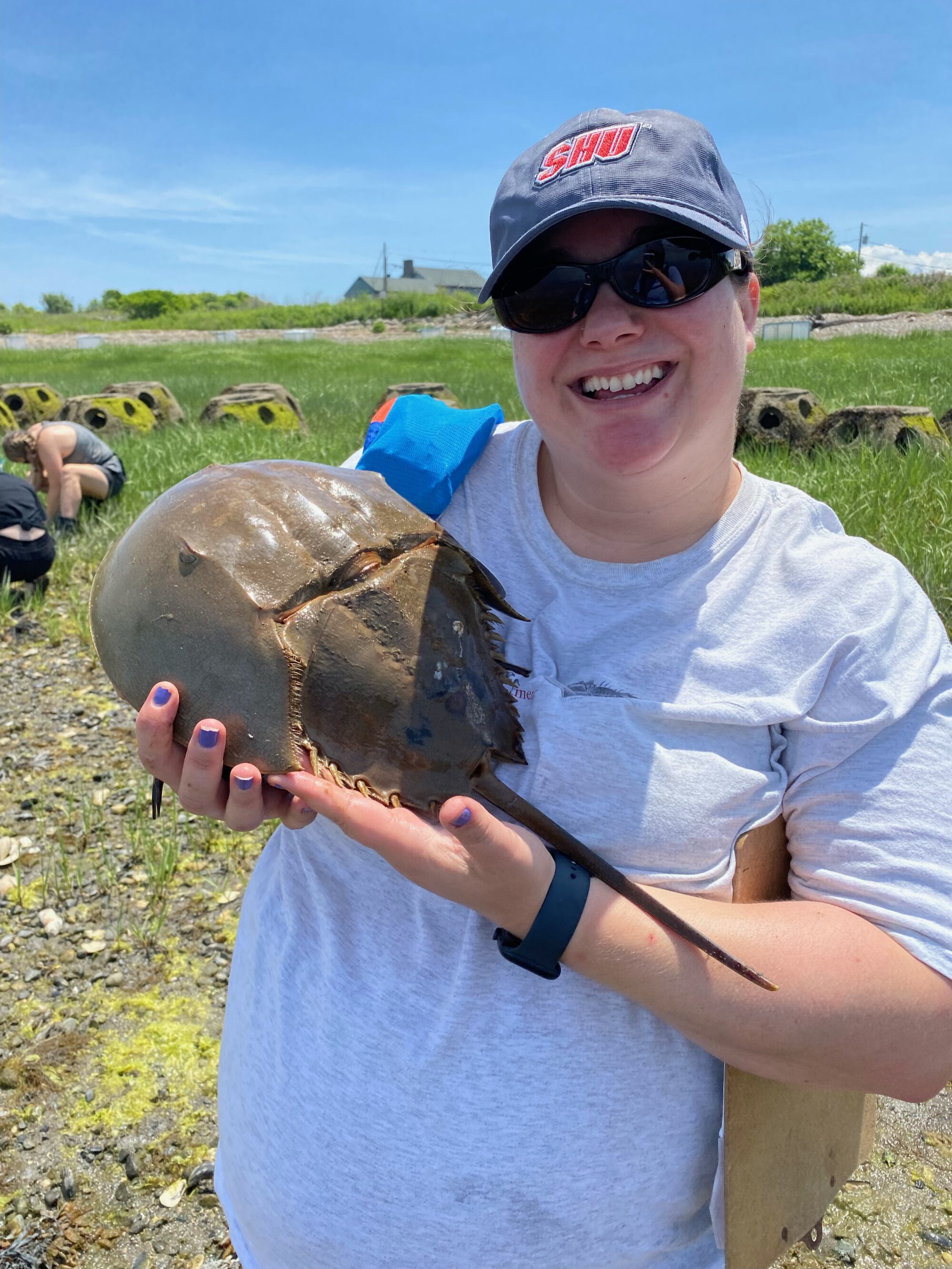 A woman in sunglasses and a white t-shirt holds up a horseshoe crab and smiles. 