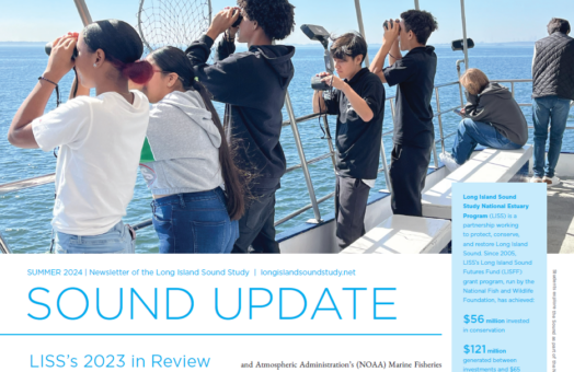 image for Year in Review 2023