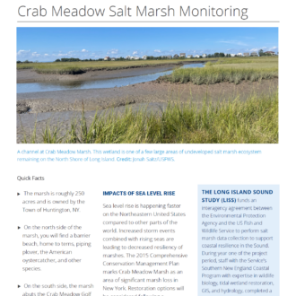 A fact sheet on salt marsh monitoring.