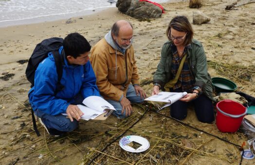 image for LIS Mentor Teacher Workshop at Hammonasset Beach State Park