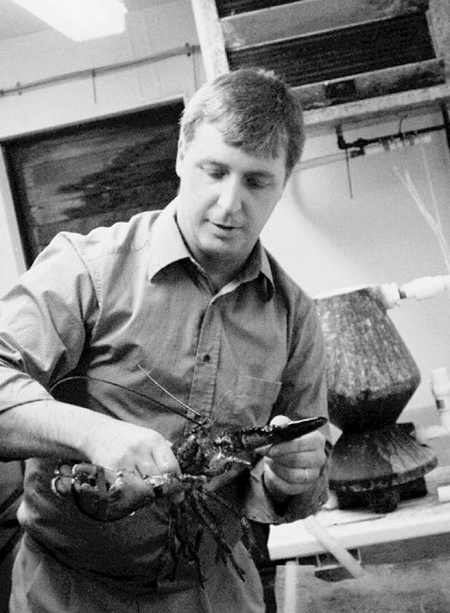 In the 2000s, De Guise, a veterinarian conducted research on diseases and environmental stressors that were impacting the health of lobsters in Long Island Sound. Photo by Peg Van Patten/CT Sea Grant.