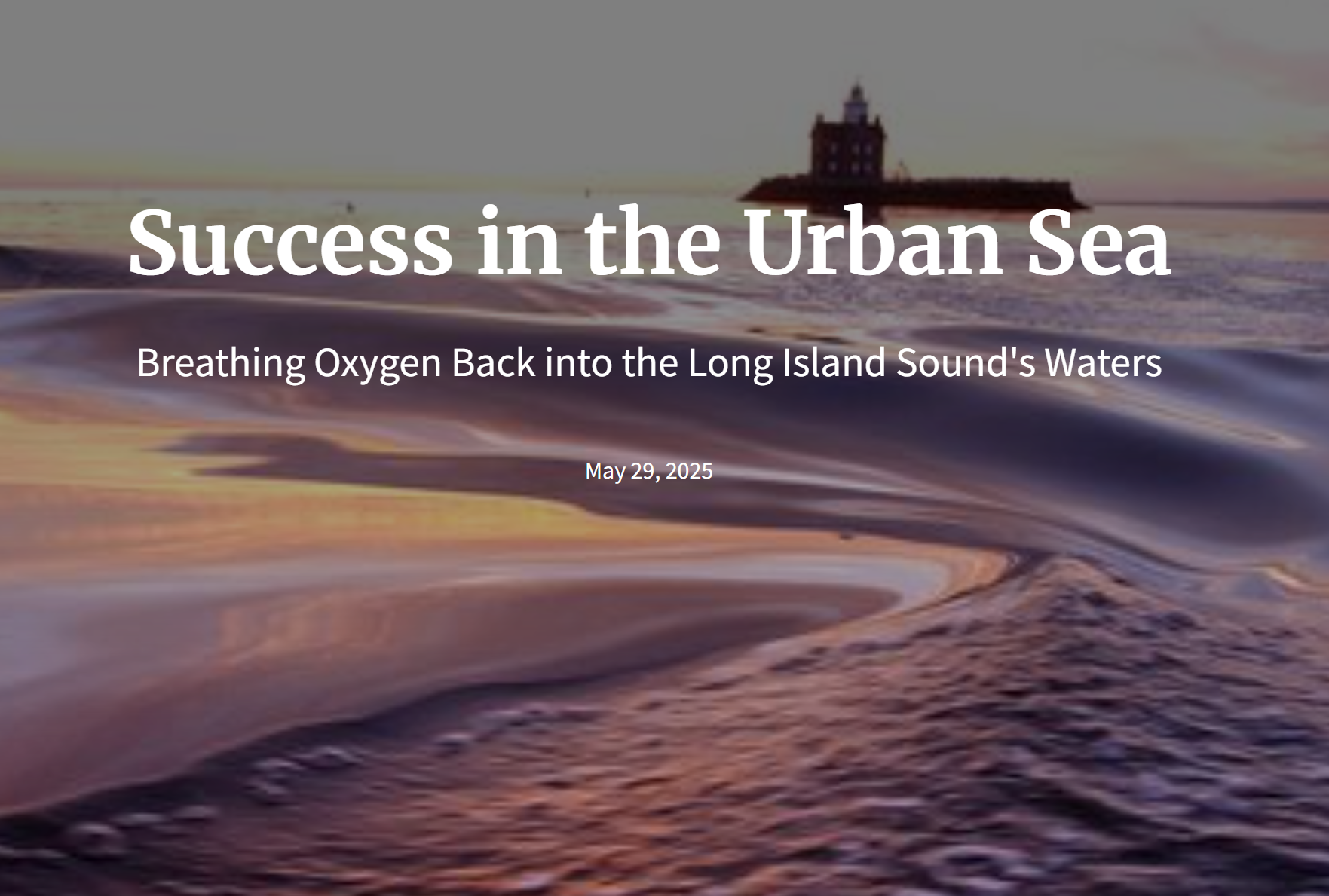Cover image for the hypoxia story map - Success in the Urban Sea