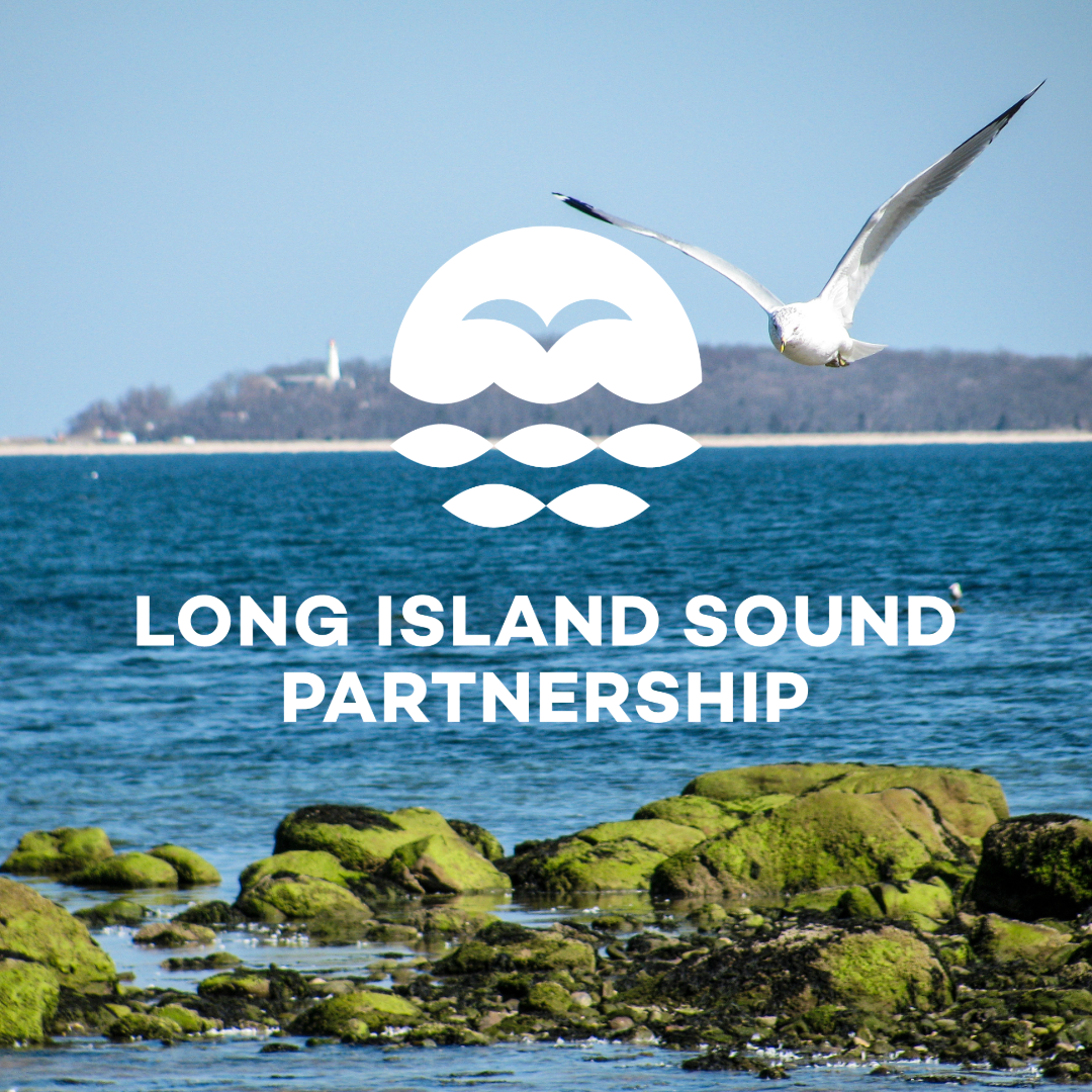 The new Long Island Partnership logo in front of an image of blue water with moss-covered rocks and a gull flying