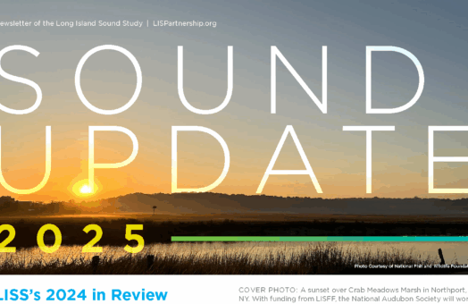 image for The 2024 Year in Review Issue