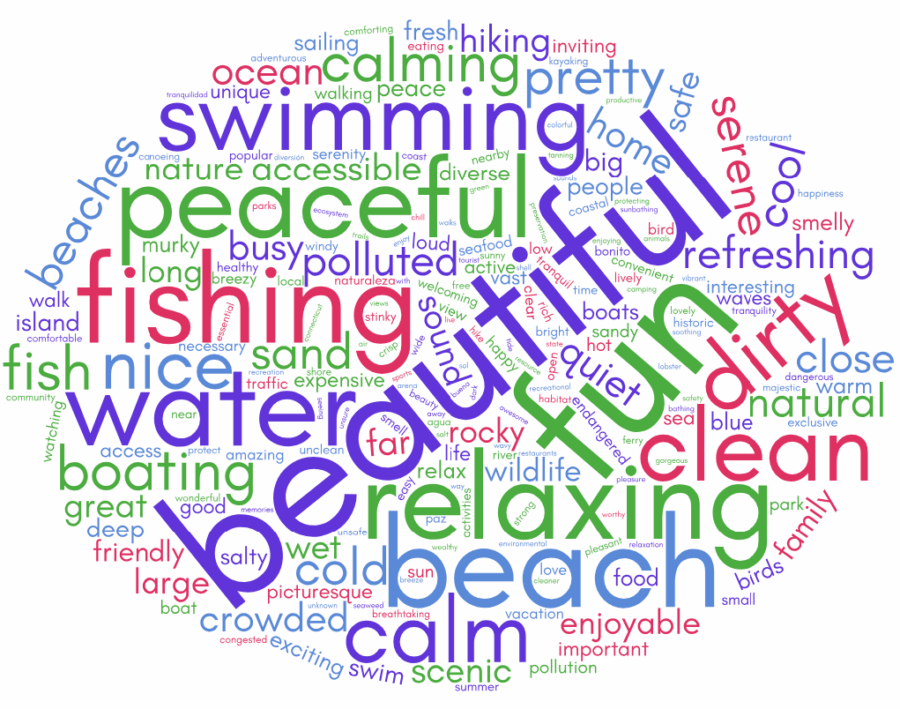 "word cloud" with survey residents picking adjectives to describe the Sound. is the most frequent word