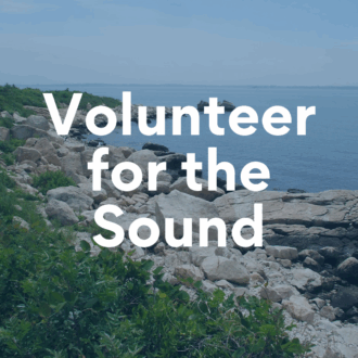 Rocky shore of Long Island Sound with the words "Volunteer for the Sound"