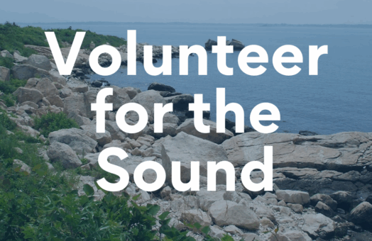 image for Volunteer Newsletter August 2025