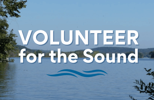 image for Volunteer Newsletter October 2025