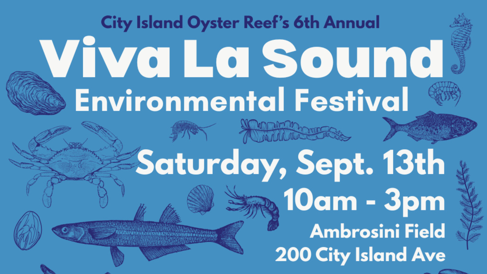 Flyer information for the Viva la Sound Festival. All details are in the event description.