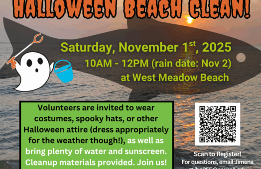 image for 4th Annual Halloween Beach Cleanup