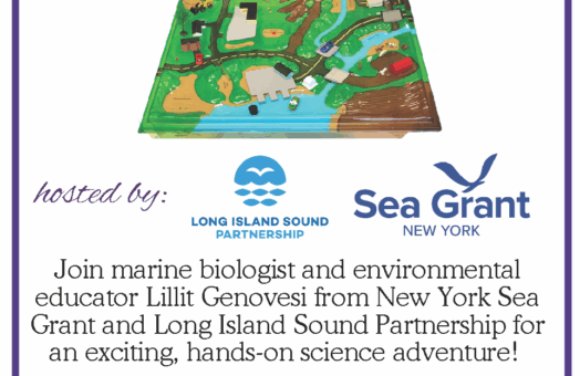 image for Science Everywhere: Exploring Our Watershed with Enviroscape