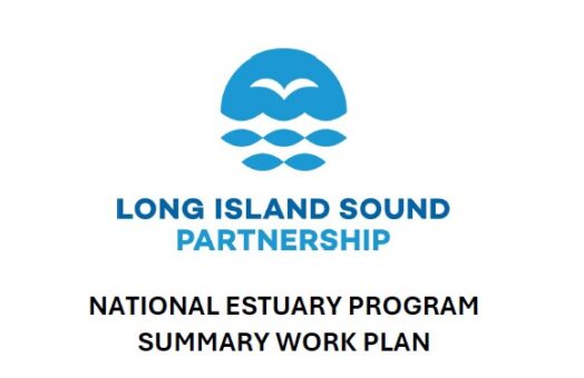 image for 2025 Work Plan
