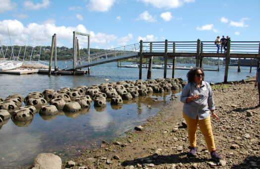 image for Reef Balls, Real Impact: Living Shoreline Project Restores the Thames River