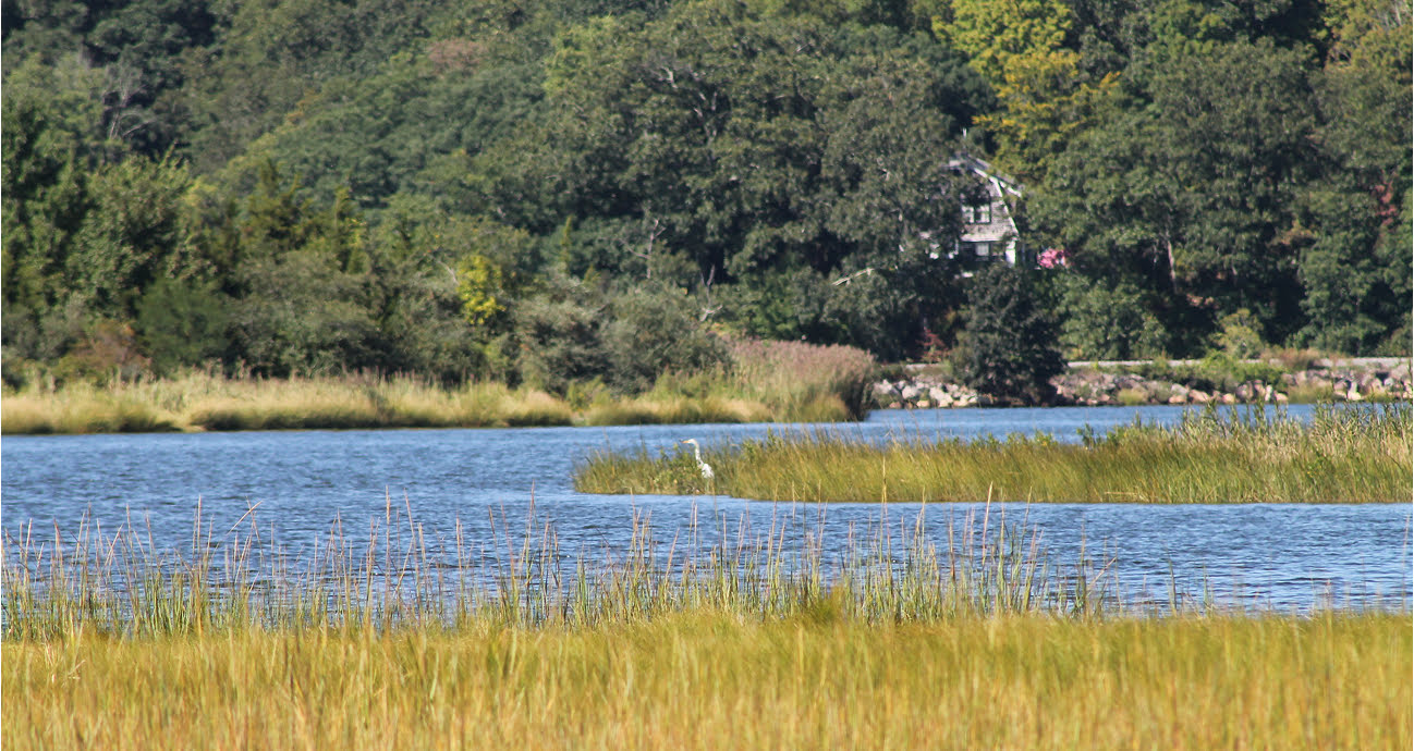 Coastal Habitat in the Long Island Sound